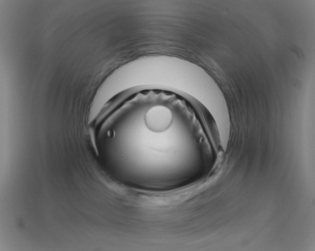 X0000113530045200910091231