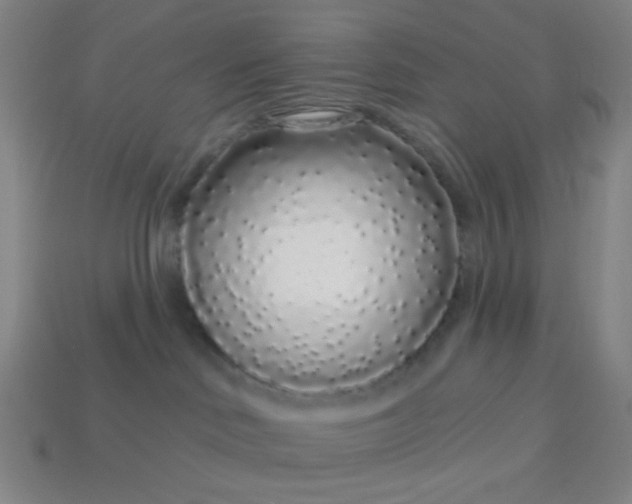 X0000113530046200910091231