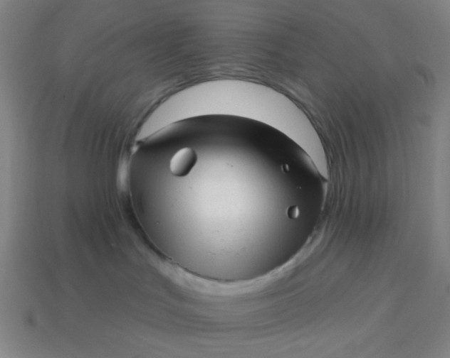 X0000113530047200910091231