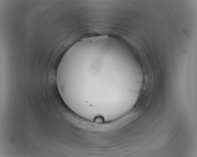 X0000113530048200910091231