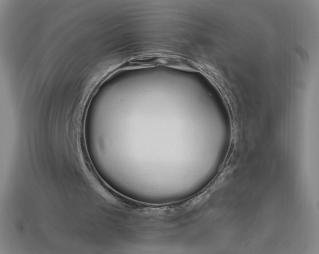 X0000113530049200910091231