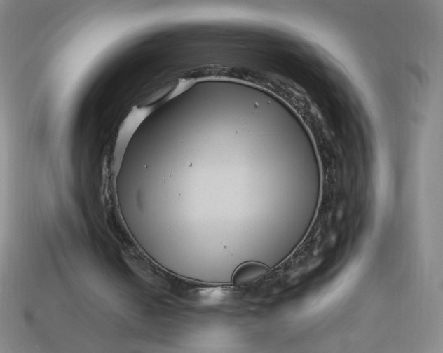 X0000113530050200910091231