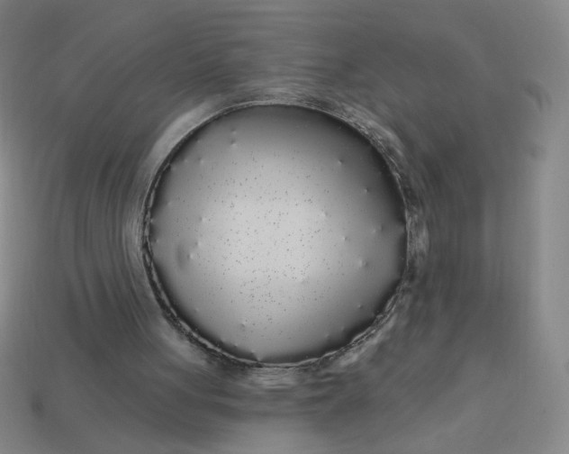 X0000113530051200910091231