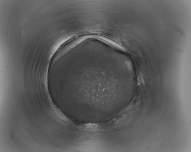 X0000113530052200910091231