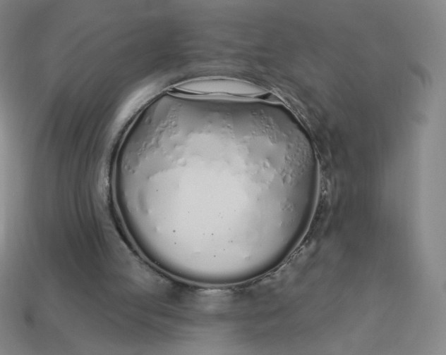 X0000113530053200910091231