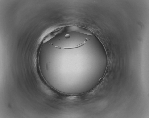 X0000113530054200910091231