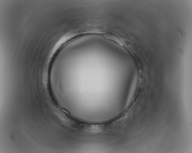 X0000113530056200910091231