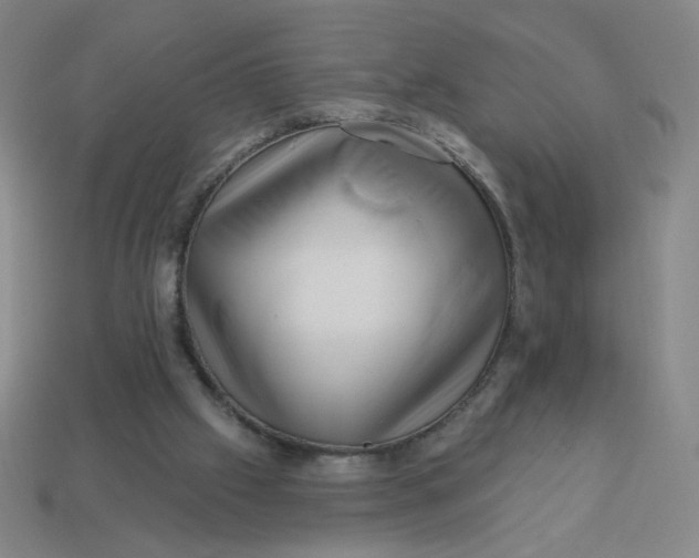 X0000113530057200910091231