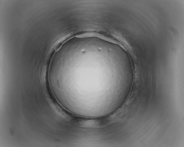 X0000113530058200910091231