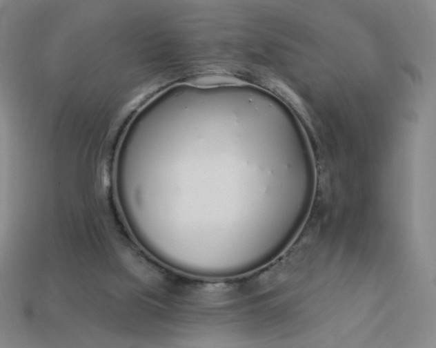 X0000113530059200910091231