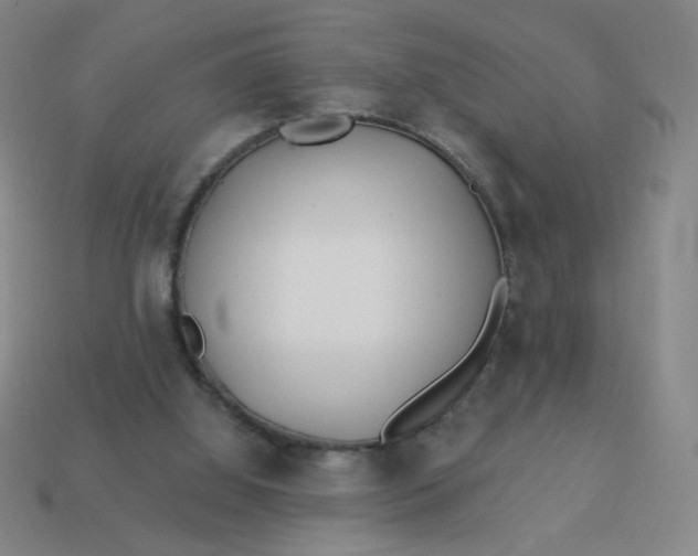 X0000113530060200910091231