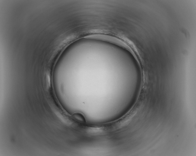 X0000113530061200910091231