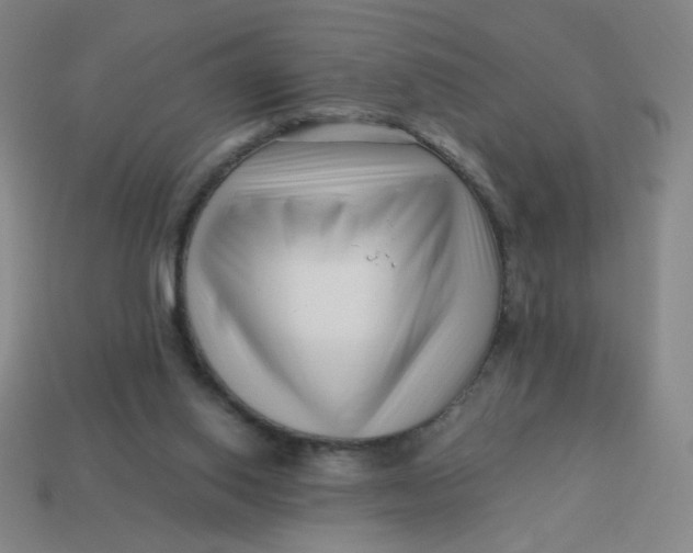 X0000113530062200910091231