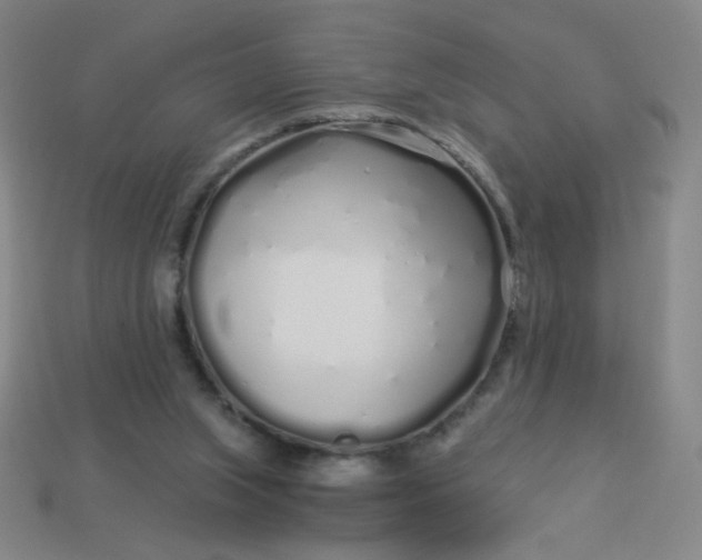 X0000113530063200910091231