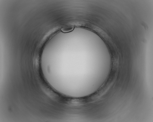 X0000113530064200910091231