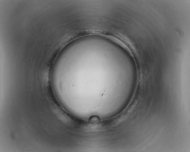 X0000113530065200910091231