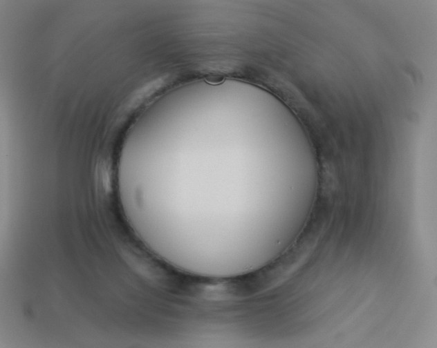 X0000113530068200910091231