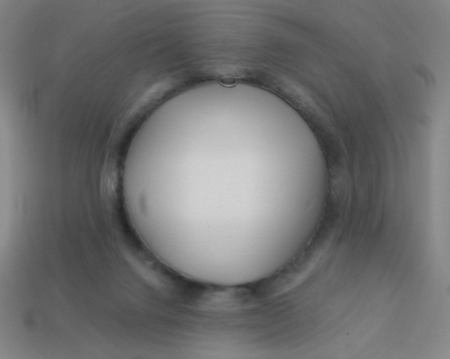 X0000113530072200910091231