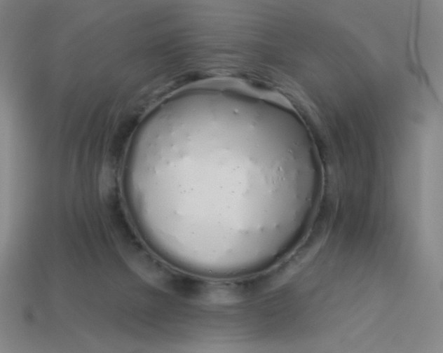 X0000113530073200910091231