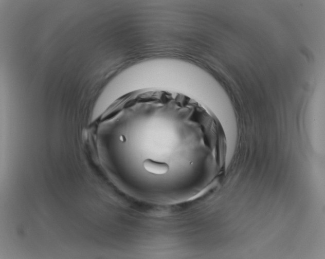 X0000113530076200910091231