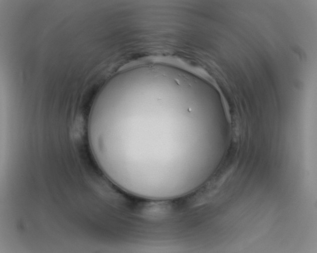 X0000113530077200910091231