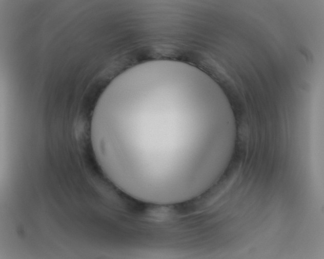 X0000113530079200910091231