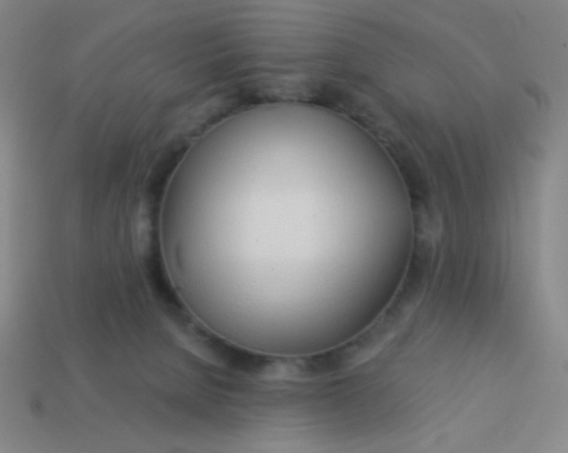 X0000113530080200910091231