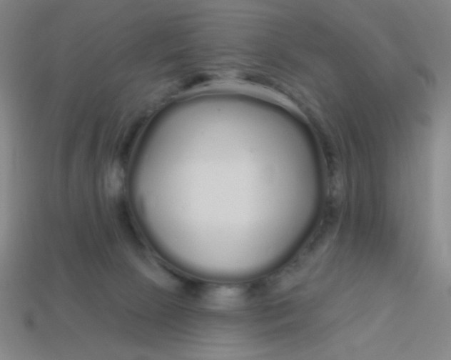 X0000113530081200910091231