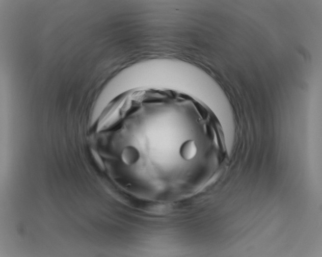 X0000113530084200910091231