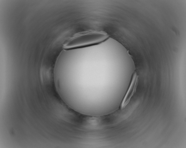 X0000113530088200910091231