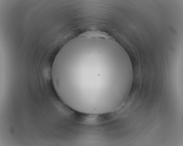 X0000113530090200910091231