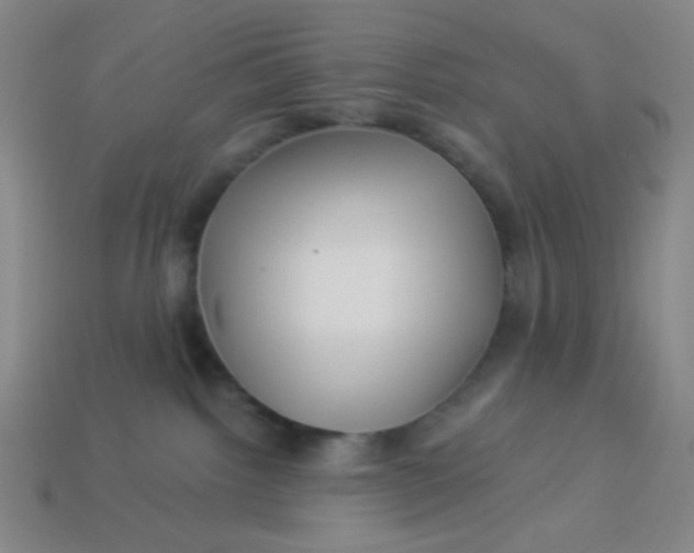 X0000113530092200910091231