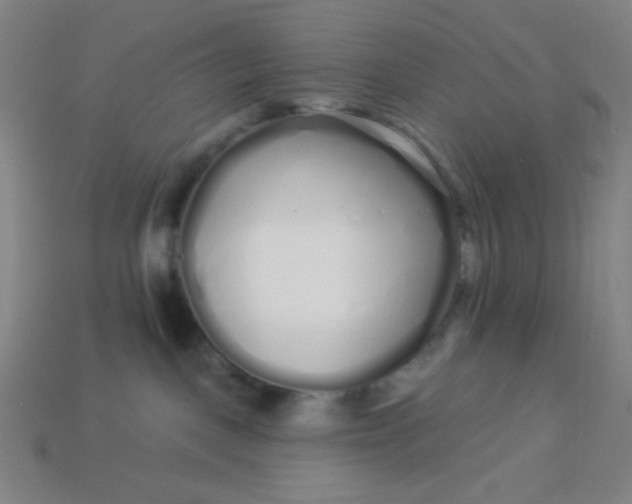 X0000113530093200910091231