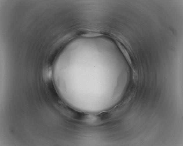 X0000113530095200910091231