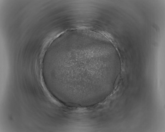 X0000113530097200910091231