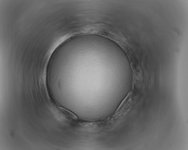 X0000113530100200910091231