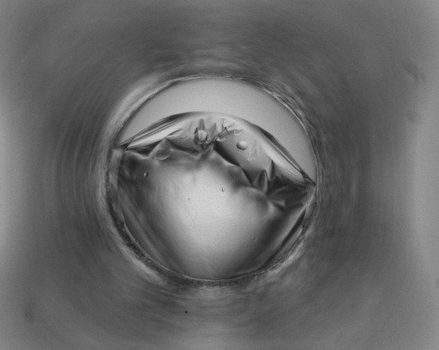 X0000113530101200910091231