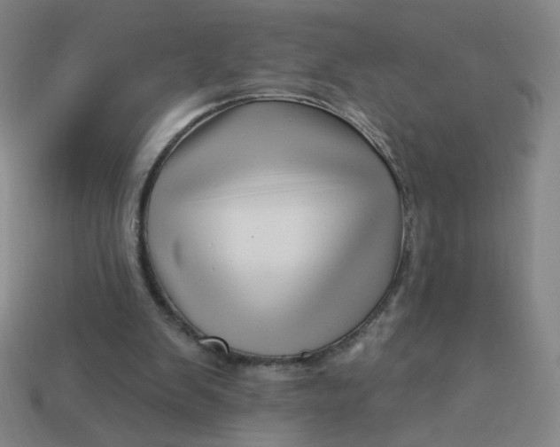 X0000113530103200910091231