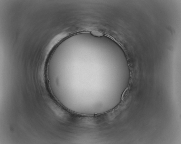 X0000113530104200910091231