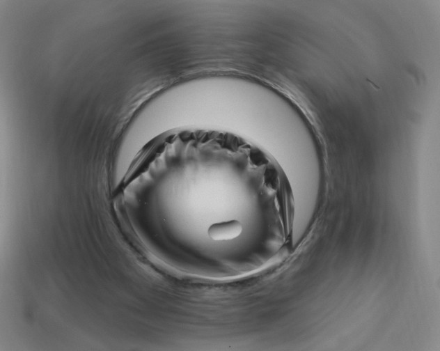 X0000113530105200910091231