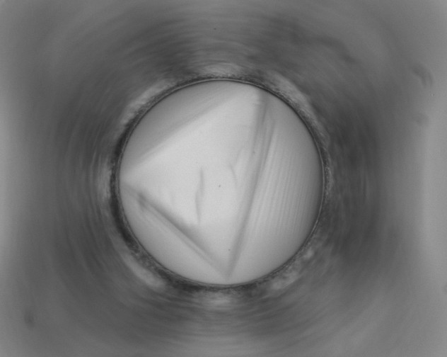 X0000113530106200910091231