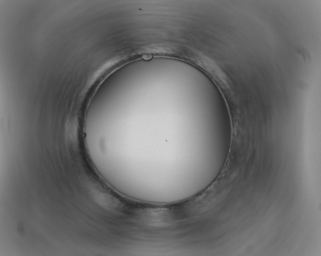 X0000113530108200910091231