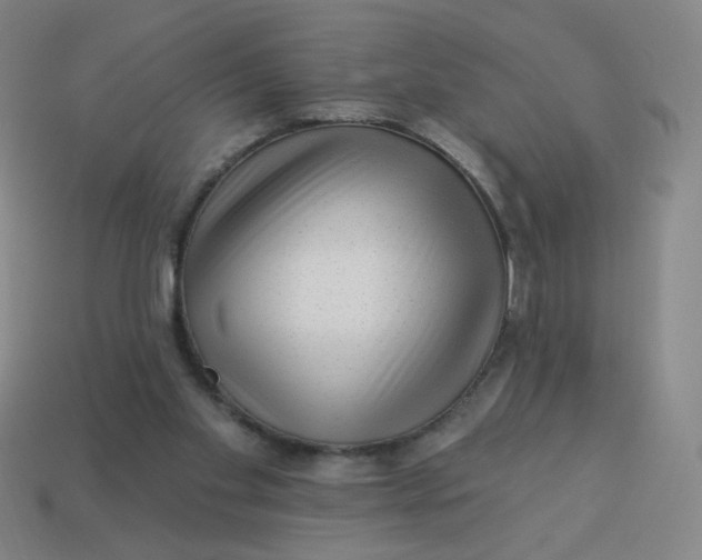 X0000113530109200910091231