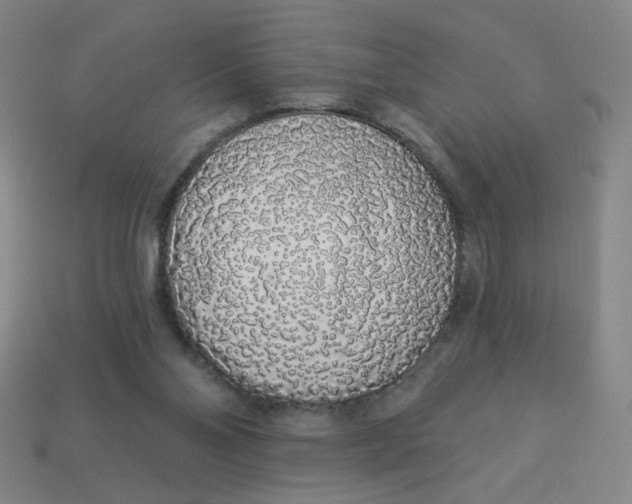 X0000113530110200910091231