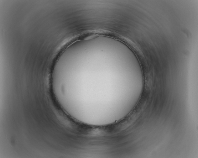 X0000113530111200910091231