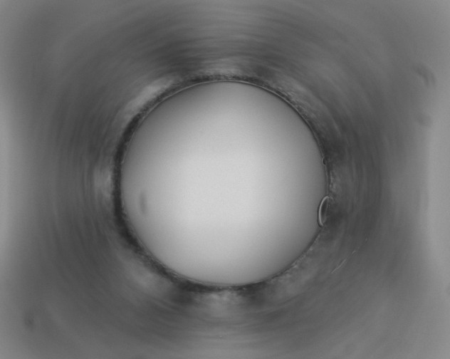 X0000113530112200910091231