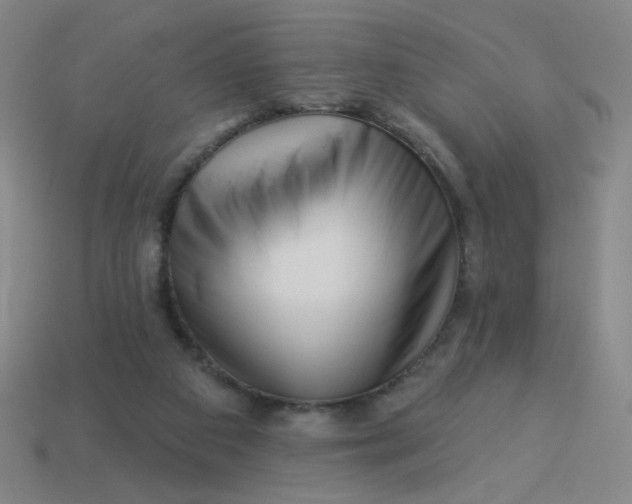 X0000113530113200910091231