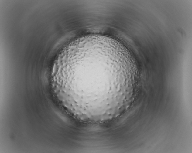 X0000113530114200910091231