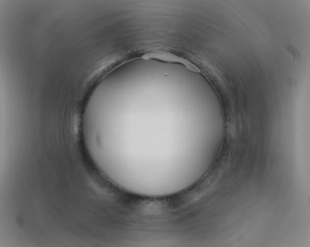 X0000113530115200910091231