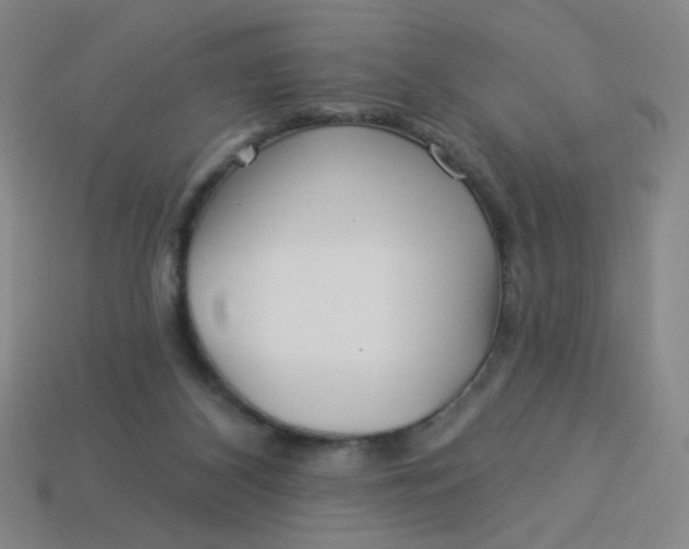 X0000113530116200910091231